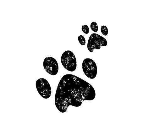 Premium Vector | Paw prints dog