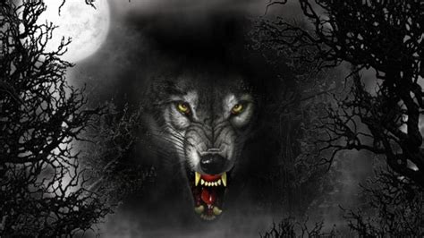 evil wolves | Cruel Wolf, dark, evil, eyes, full moon, vicious, wolf | photoshop | Pinterest ...