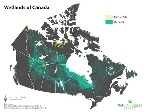 NCC: Land Lines - Why Canada matters on World Wetlands Day