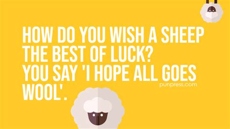 51 Sheep Puns That Wool Make You Laugh - PunPress