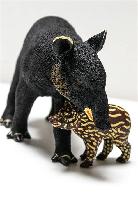 Tapir Products - Mountain Tapir Project