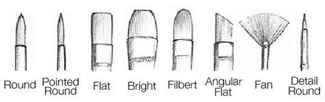 Artist Paint Brushes: A Guide to Choosing the Right Paintbrushes for ...