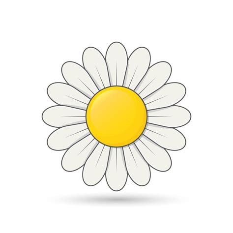 Daisy Cute Flower, simple shadow, daisy vector, flower sign. 14160689 Vector Art at Vecteezy