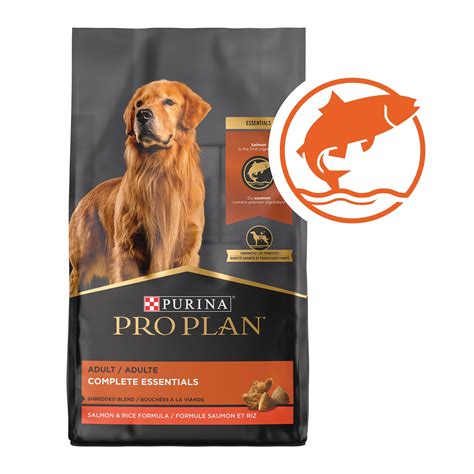 Discover the Top 10 Purina Salmon Dog Food Products for a Happy Tail-waggin' Best Friend ...