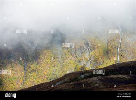 Fall colors in Norway Stock Photo - Alamy