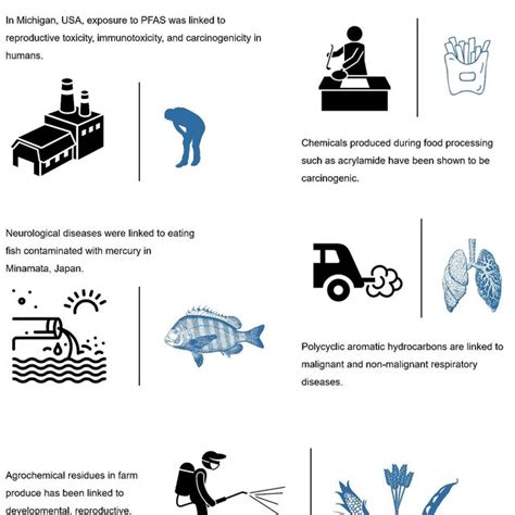 1 Example of chemicals that has biological effects in humans following... | Download Scientific ...