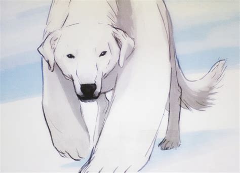 Naga, Korra's polar bear dog - Avatar: The Legend of Korra Photo (26292950) - Fanpop