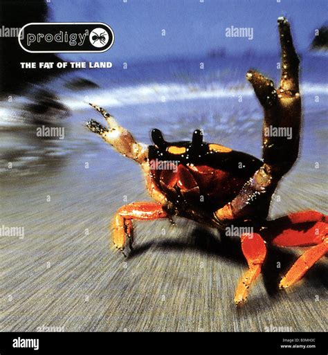 PRODIGY UK rock group album cover The Fat of the Land featuring a Sally Lightfoot crab Stock ...