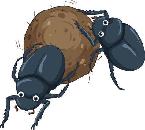 A dung beetle cartoon character 6581243 Vector Art at Vecteezy