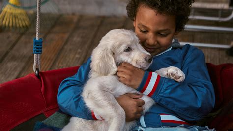 Easy Guide to Introducing Puppies and Children | Purina