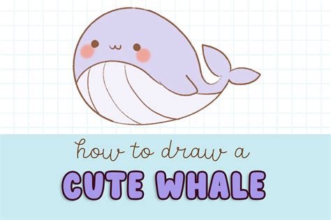 How To Draw A Cute Whale