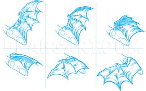 How To Draw Dragon Wings, Step by Step, Drawing Guide, by Dawn | Dragon drawing, Dragon anatomy ...