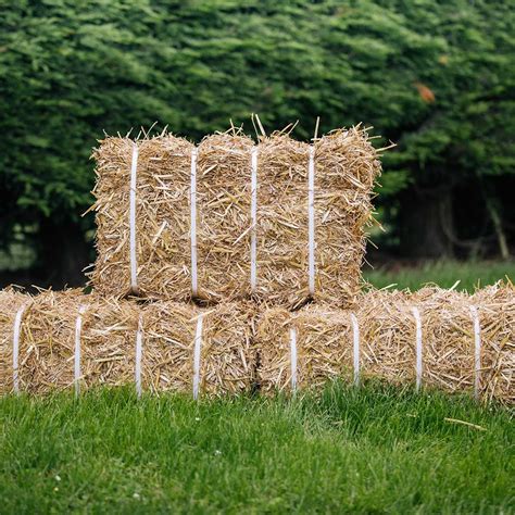 Baled Straw Bales for Sale | Baled