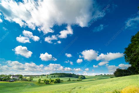 Rural landscape - Stock Image - F037/2836 - Science Photo Library