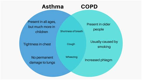 Difference Between Asthma And Copd – NBKomputer