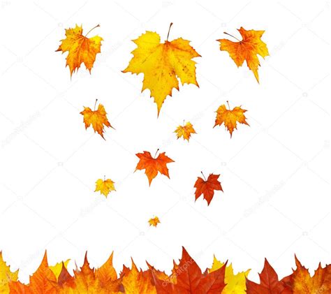 Some maple leaves falling — Stock Photo © broker #6349163