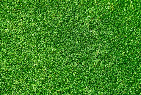 [100+] Green Grass Backgrounds | Wallpapers.com