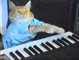 Keyboard Cat - Wikiwand