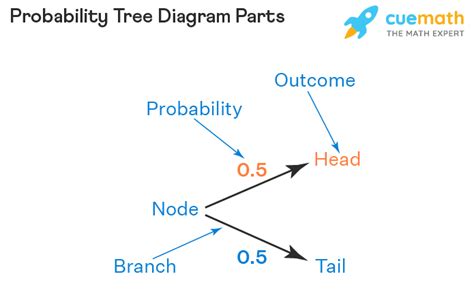 Probability Tree Diagram - Definition, Examples, Parts (2022)