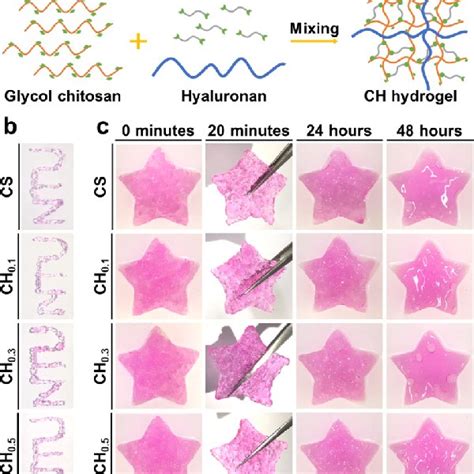 Preparation of self-healing CH hydrogels. (a) Self-healing CH hydrogels ...