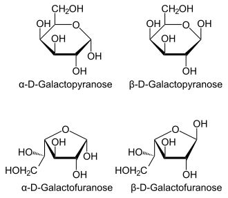 Galactose - Wikipedia