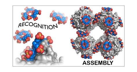 Protein–Calixarene Complexation: From Recognition To, 59% OFF