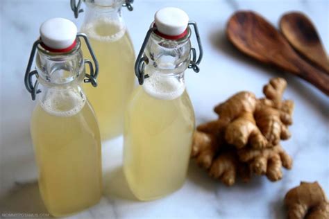 Homemade Ginger Ale Recipe