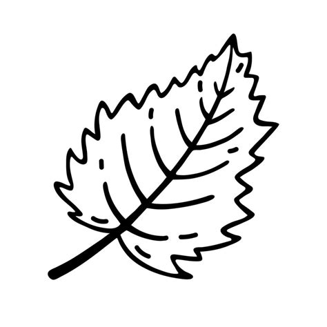 Tree leaf vector icon. Hand drawn illustration isolated on white. Simple botanical doodle, black ...