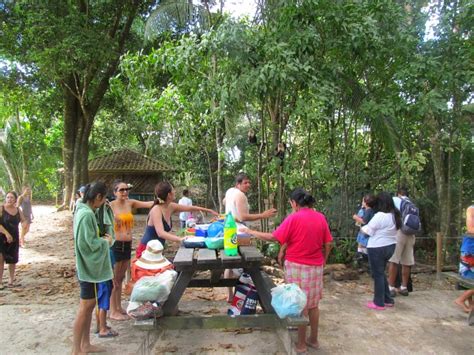 Manuel Antonio wildlife Costa Rica national park