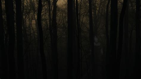 Creepy Forest Wallpaper - WallpaperSafari