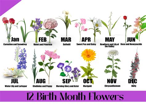 May Birth Flower Png - Image to u