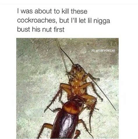 The best cockroach memes :) Memedroid