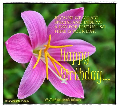 Wild Flower Birthday Cards Collection - True Picture HD Birthday Cards