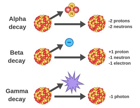 Neutron Beta Decay