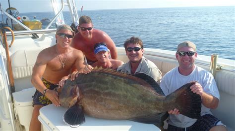 Big Fishes of the World: GROUPER BLACK (Mycteroperca bonaci)