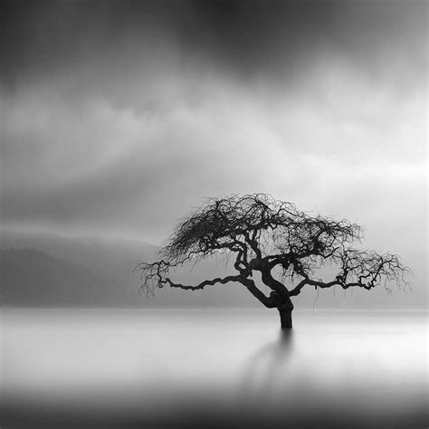 Surreal Nature Photography by George Digalakis Is Mysteriously Minimalist