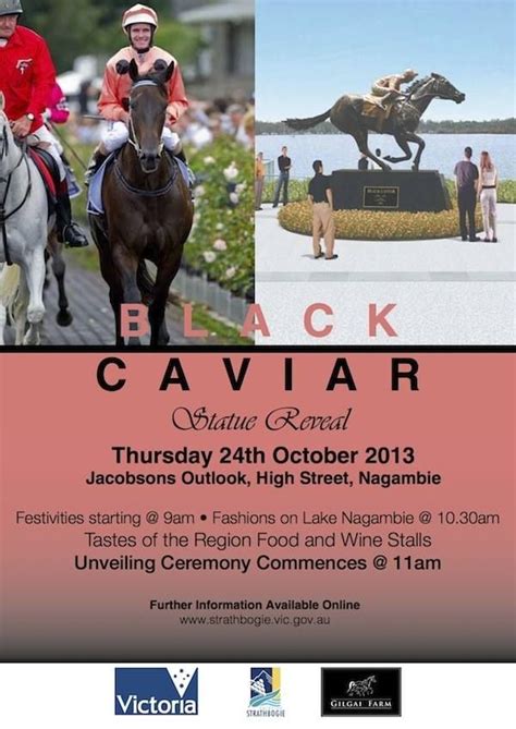 1000+ images about Black Caviar on Pinterest | In pictures, Horse racing and Superstar