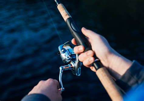 Barracuda Fishing: Techniques, Bait and Gear - TRIZILY.COM