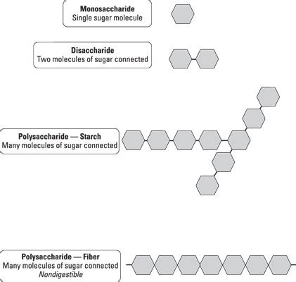 The Chemical Structure of Carbohydrates - dummies