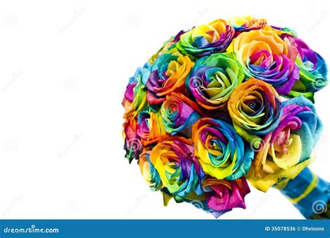 Wedding Rainbow Roses Bouquet Stock Photo - Image of bouquet, bridal ...