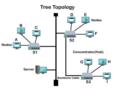 What is Tree Topology? Definition and Explanation - javatpoint