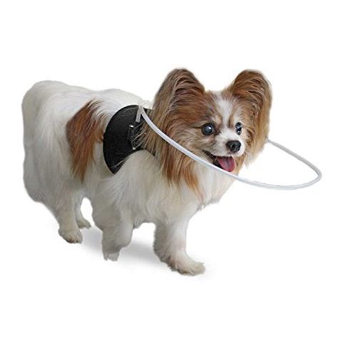 Walkin' Blind Dog Halo Harness/Vest for Pets Under 30 lbs – Pets Trend Store