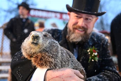 A gloomy Groundhog Day: Punxsutawney Phil says more winter | PBS News