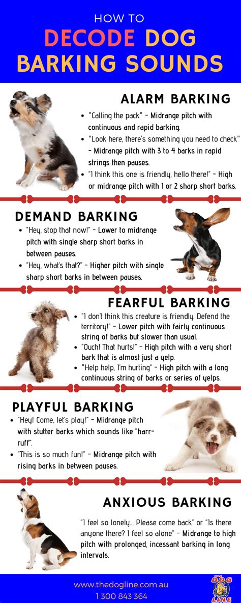 Decoding Dog Barking Sounds | The Dog Line