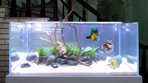 Fish Tank Decorations Diy