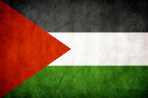 Palestine Grungy Flag by think0 on DeviantArt