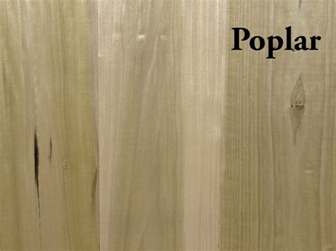 Poplar Hardwood Rough | Capitol City Lumber