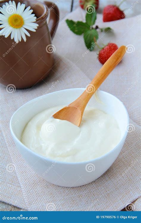 Fermented Milk Product Sour Cream Stock Photo - Image of runny, food: 19790576