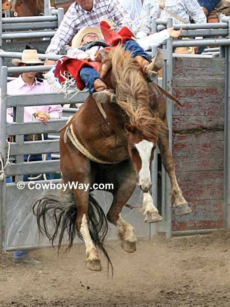 Pin on Bronc Riding