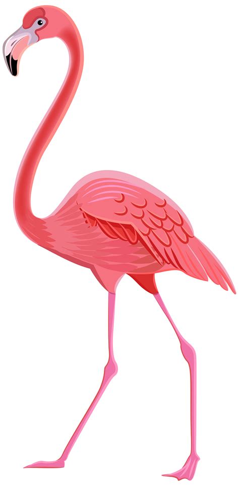 Exciting Clip Art Flamingo: Clip Art Flamingo | Flamingo clip art, Flamingo illustration, Flamingo